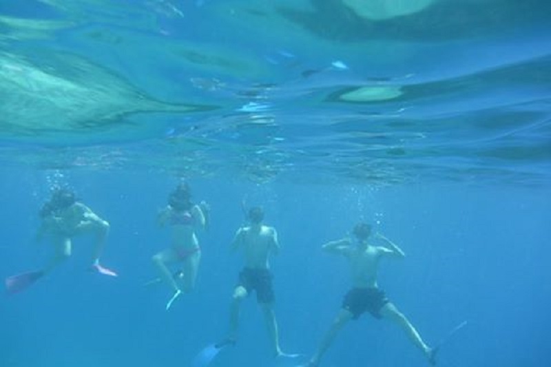 Guests snorkelling on a Marine Adventure trip